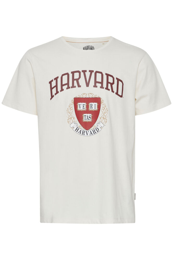 T-SHIRT | 20716637