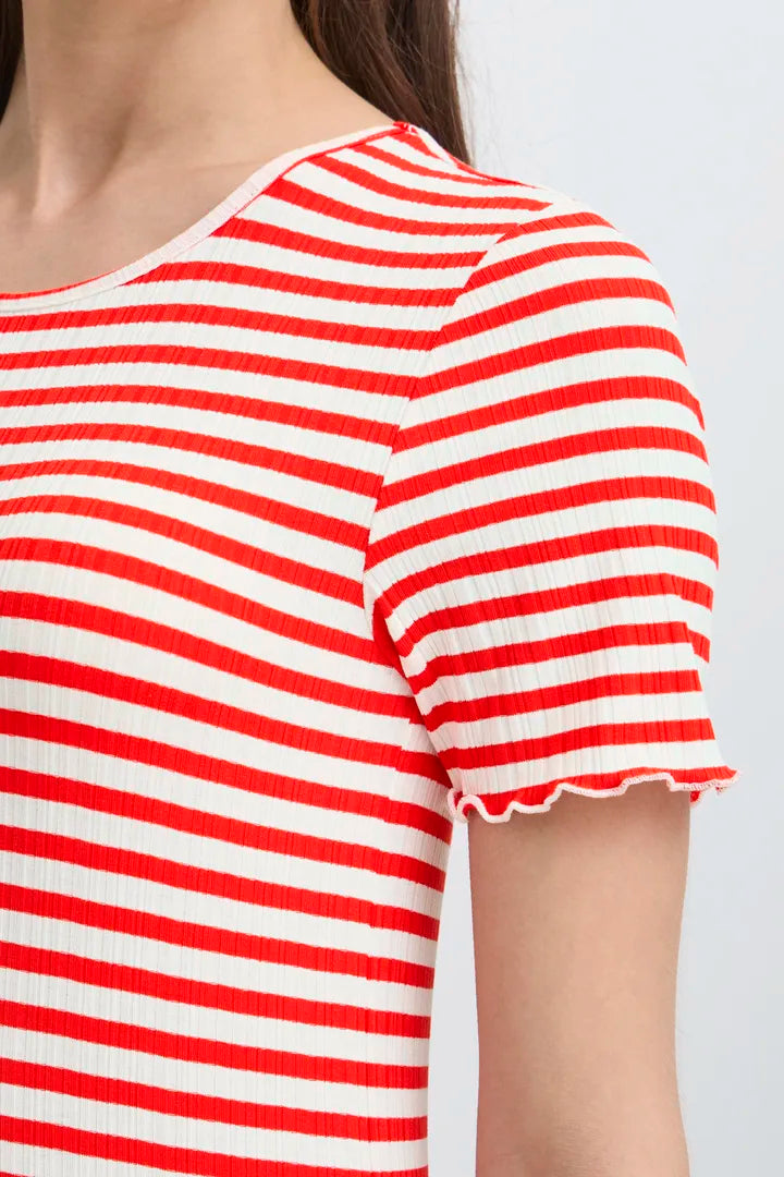 T-SHIRT | CELLA SS rifl