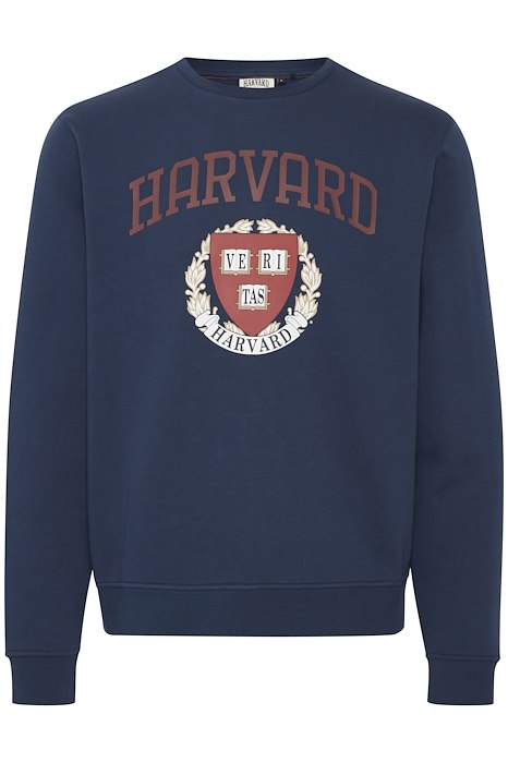 SWEATSHIRT | 20716638