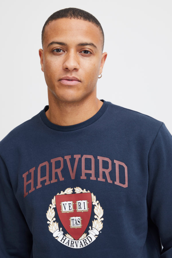 SWEATSHIRT | 20716638