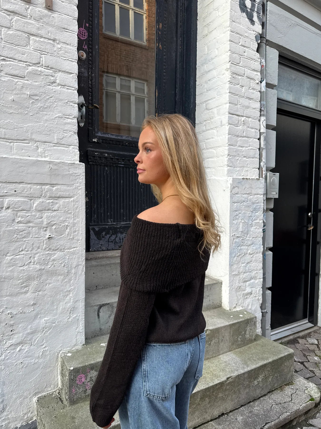 TROYGGJA | SALLY brown