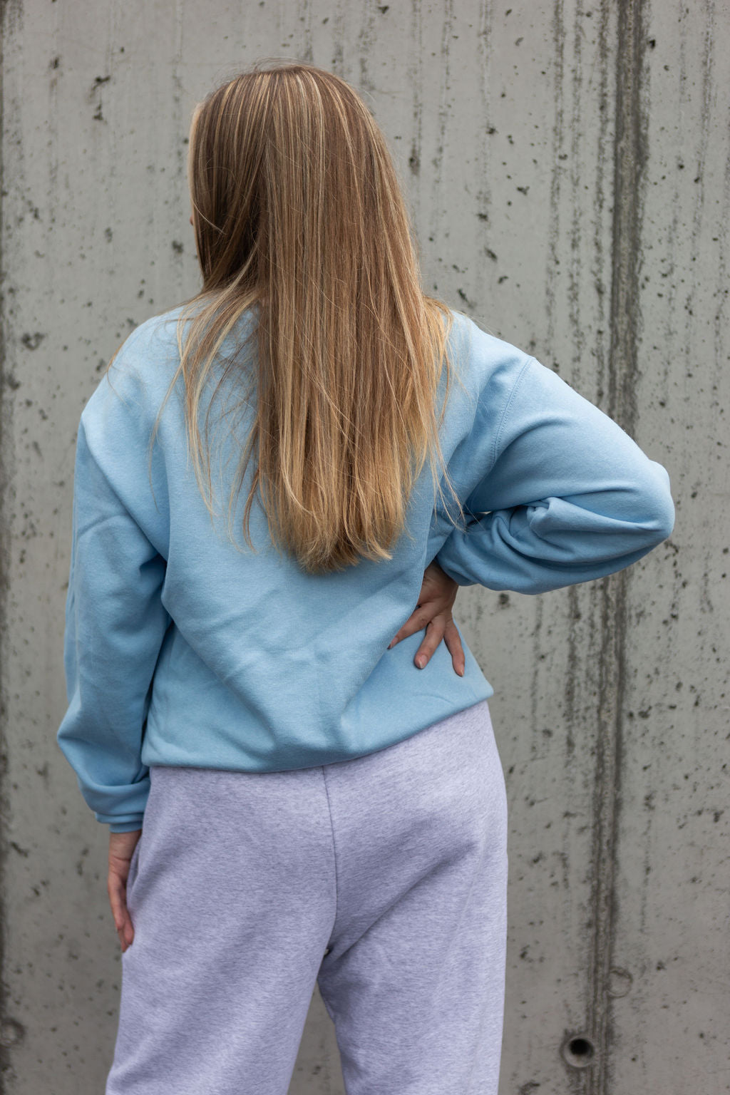 SWEATSHIRT | FRUIT skyblue