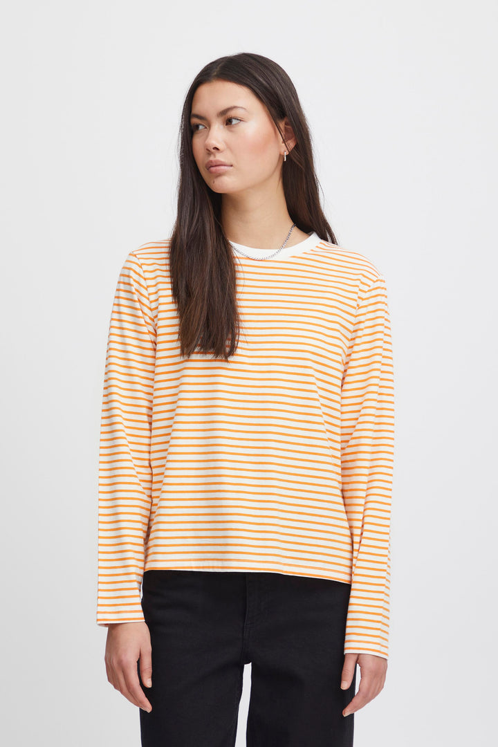 BLUSA | IHMIRA cloud