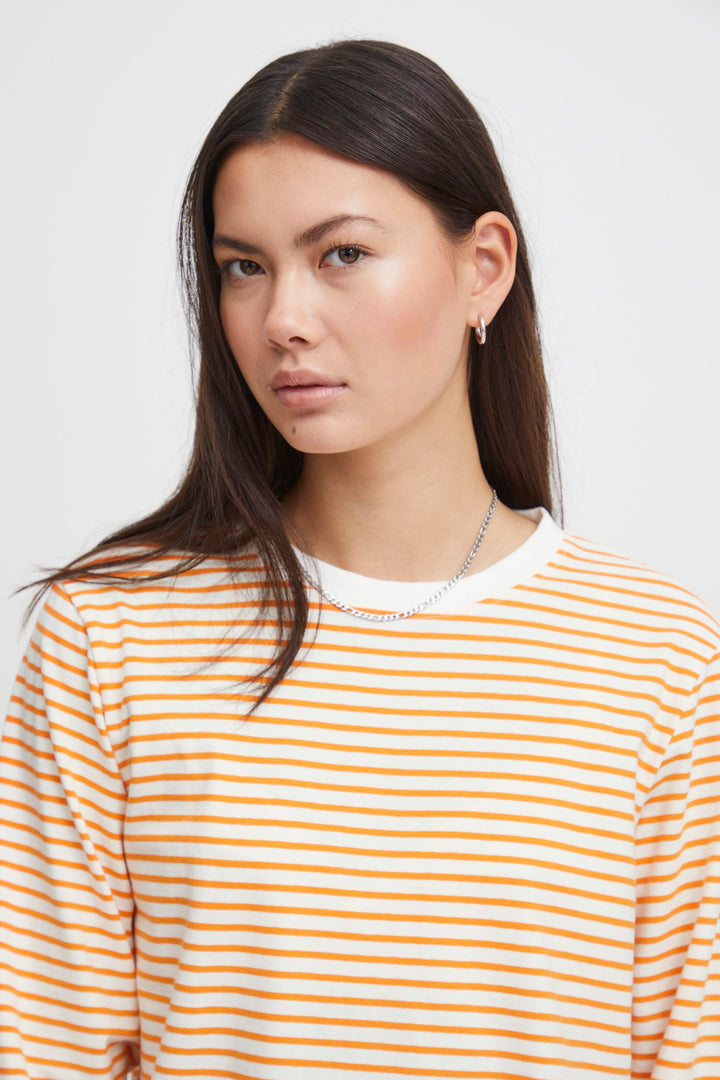 BLUSA | IHMIRA cloud