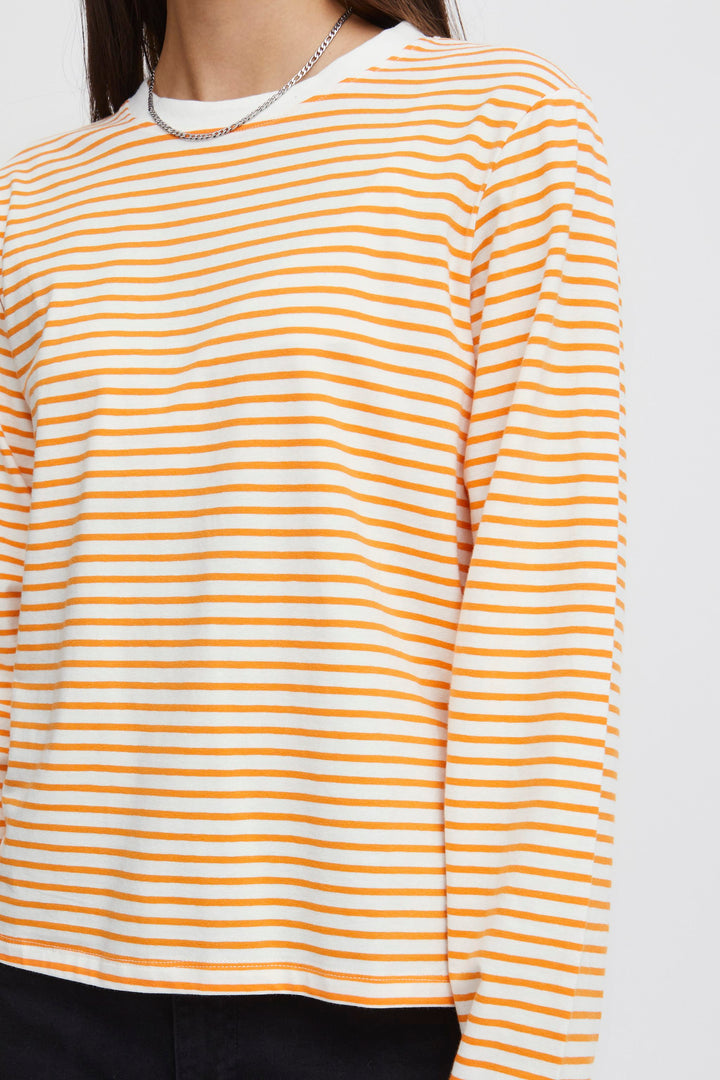 BLUSA | IHMIRA cloud